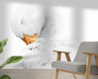 Darmowa dostawa Rust in Witte Elegantie Gans