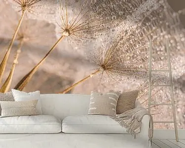 Zwrot pieniędzy Zachte pastelkleurige Morgenster met druppels