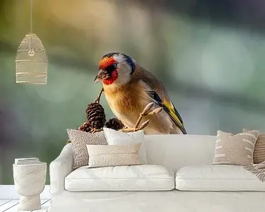 Portret van de putter (distelvink) Zamów teraz