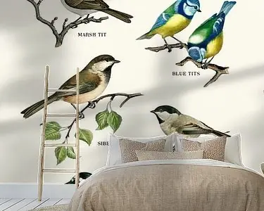 All Tits Are Beautiful Premium