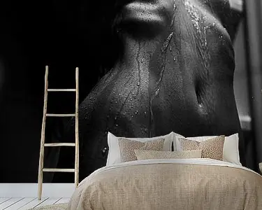 Darmowa dostawa De schoonheid; Erotisch naakt onder de douche