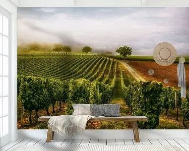 De wijngaard Niska cena