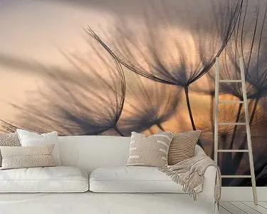 Zwrot pieniędzy Zonsopkomst achter paardenbloem.