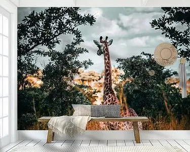 Niska cena Giraffe in Kruger Park, Zuid-Afrika