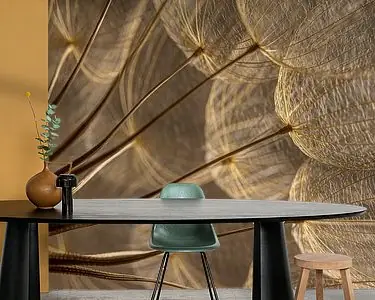 Ekspresowa dostawa Warme bruintinten: Licht valt op de pluisjes van een Tragopogon