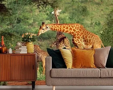 Groep giraffen in Kenia Oryginalny