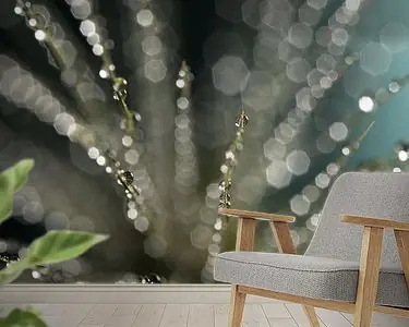 Szybka dostawa Abstract lijnenspel: Sprietjes met waterdruppels