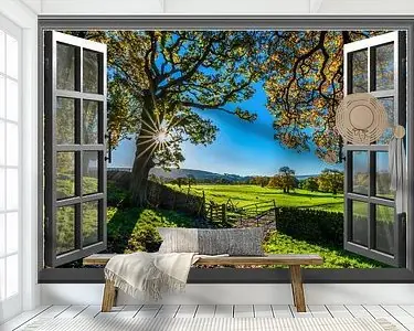 Niska cena Vensters verschillende versies