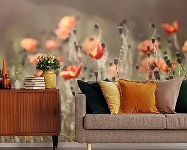 poppies in morninglight Oferta limitowana