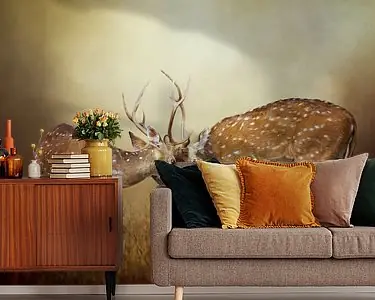 Twee Vechtende Herten In Landschap Met Bruine Kleuren Zwrot pieniędzy