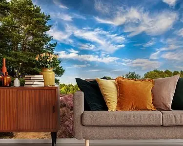 Zomerdag op de Lüneburger Heide Rabat