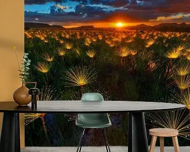 Paepalanthus Wildflower Bezpieczna płatność