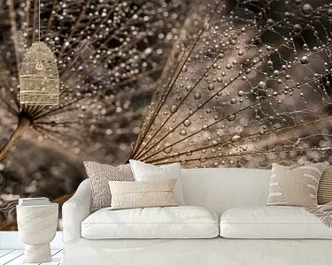 De glinsterende waterdruppeltjes Tylko dziś