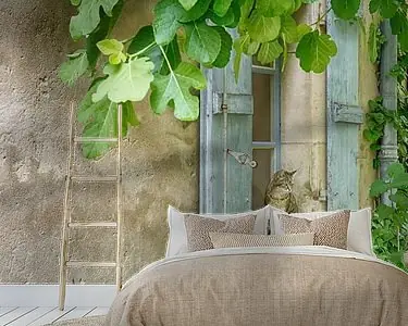 Premium Als een kat in Frankrijk