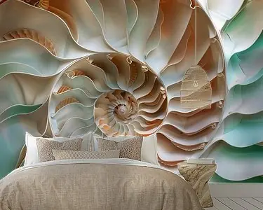 3D papieren schelp Zwrot pieniędzy