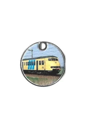 Darmowa dostawa Winkelwagen Munt Nederland NS Hondenkop