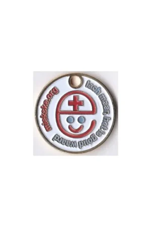 Darmowa dostawa Winkelwagen munt Nederland Lach maar het is goud waard