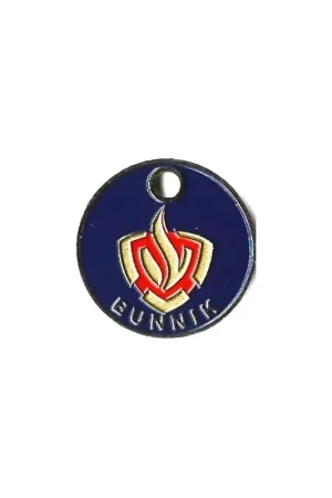 Winkelwagen munt Nederland Brandweer Bunnik Oryginalny