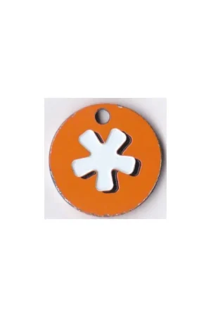 Winkelwagen munt Nederland Autentyczny