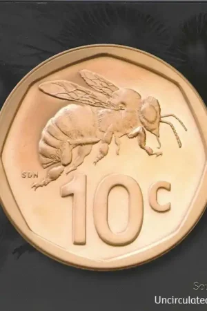 Oferta limitowana Zuid-Afrika 2024 Bu set