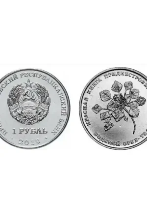 Oryginalny Transnistria 1 Roebel 2019 Unc Trapa Natans