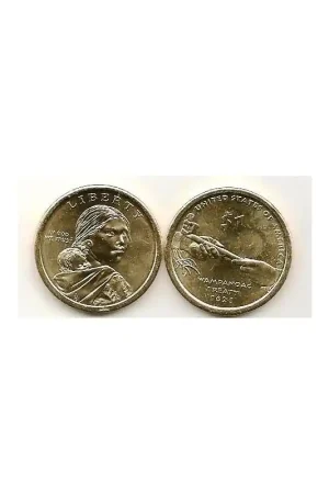 Kup teraz Km ??? USA 1 dollar 2011 P Native American