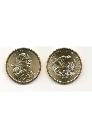 KM ??? U.S.A. 1 Dollar 2009 D Native Unc Wysoka jakość