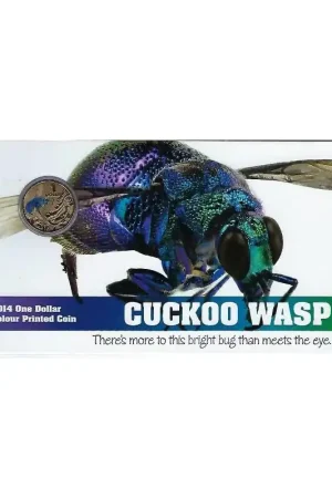 Niska cena Australië 2014 1 dollar coloured Cuckoo Wasp