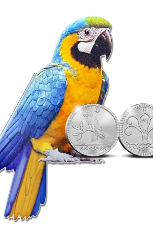 Officiële Herslag: Papegaai Duit Zilver 1 ounce Ekspresowa dostawa