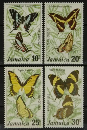 Szybka dostawa Jamaica Michel 398-401