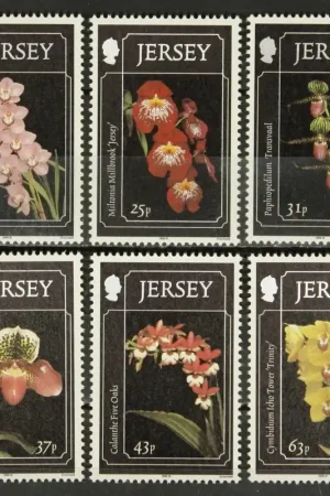 Jersey Michel 877-882 Oryginalny