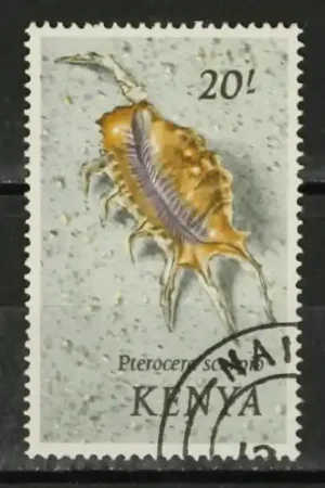 Kenia Michel 50 Najlepsza cena