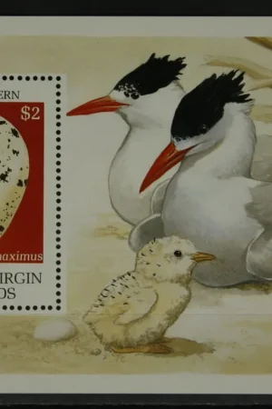 Zamów teraz Maagdeneilanden Michel Blok 62