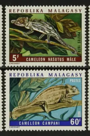 Ostatnia szansa Madagaskar Michel 683-688