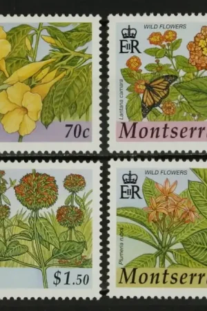 Popularny Montserrat Michel 1187-1190