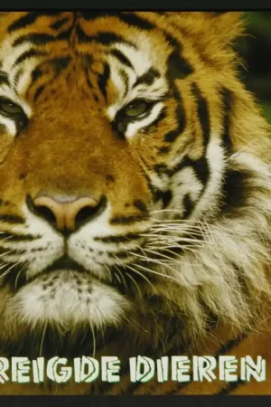 Ekspresowa dostawa Nederland, Prestigeboekje 14