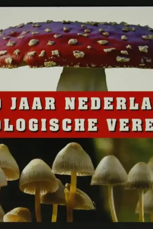 Najlepsza cena Nederland, Prestigeboekje 22
