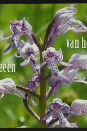 Zamów teraz Nederland, Prestigeboekje 51