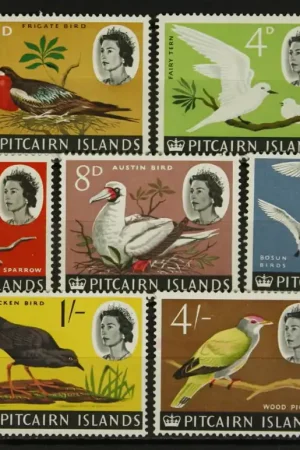 Tylko dziś Pitcairn Michel 42-50