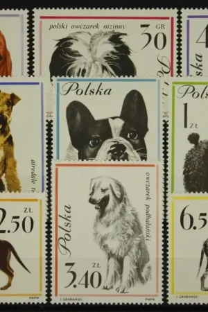 Polen Michel 1374-1382 Oferta