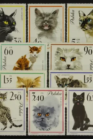 Polen Michel 1475-1484 Ostatnia szansa