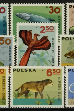 Najlepsza cena Polen Michel 1655-63