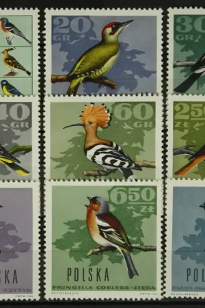 Polen Michel 1718-1726 Darmowa dostawa