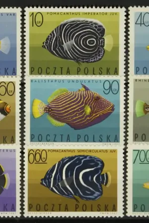 Polen Michel 1748-1756 Zwrot pieniędzy