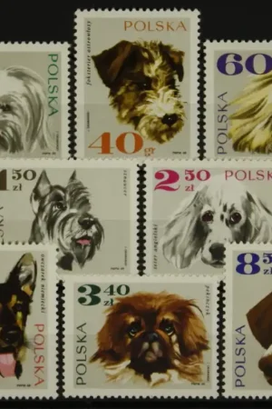 Ostatnia szansa Polen Michel 1898-1905