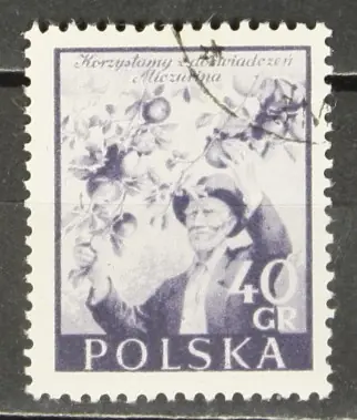 Kup teraz Polen Michel 870