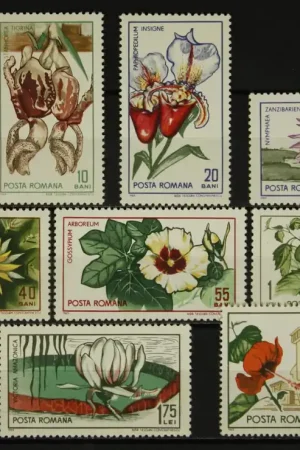 Bezpieczna płatność Roemenie Michel 2442-2451