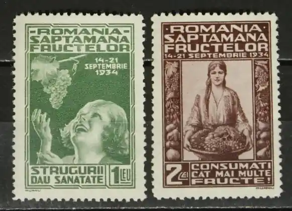 Bezpieczna płatność Roemenie Michel 478-479