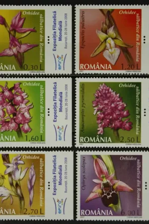 Roemenie Michel 6174-6179 D Popularny