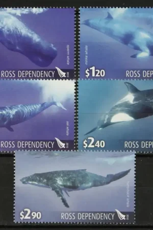 Ross-gebied 119-123 A Wyprzedaż